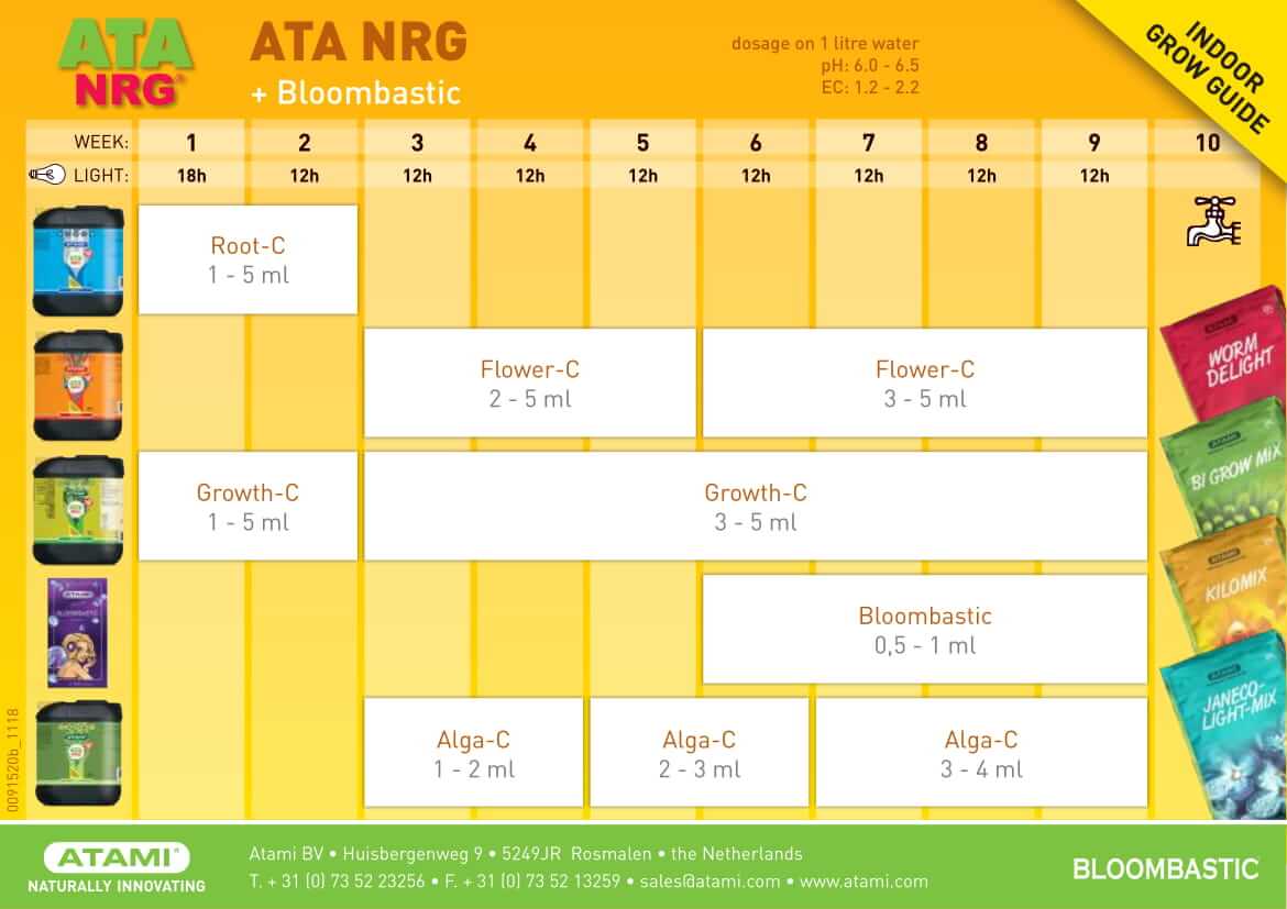 Tabla Atami NRG y Bloombastic en interior